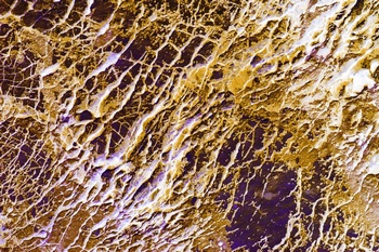 A 174A